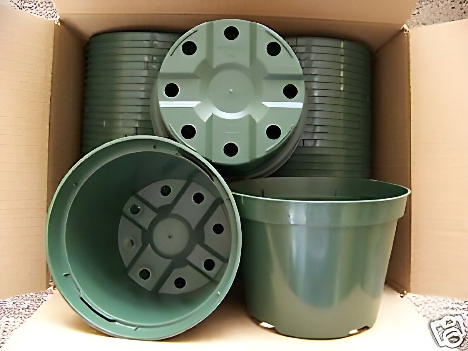 plastic plant pots 10 inch 5" azalea green plastic pot greenhouse outdoor pots durable nursery 25 – Exotic-Cactus-collection