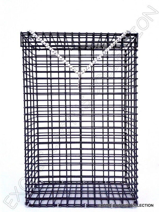 CHUM BOX marine grade pvc coating black wire mesh pot fishing bait cage 12x8x4