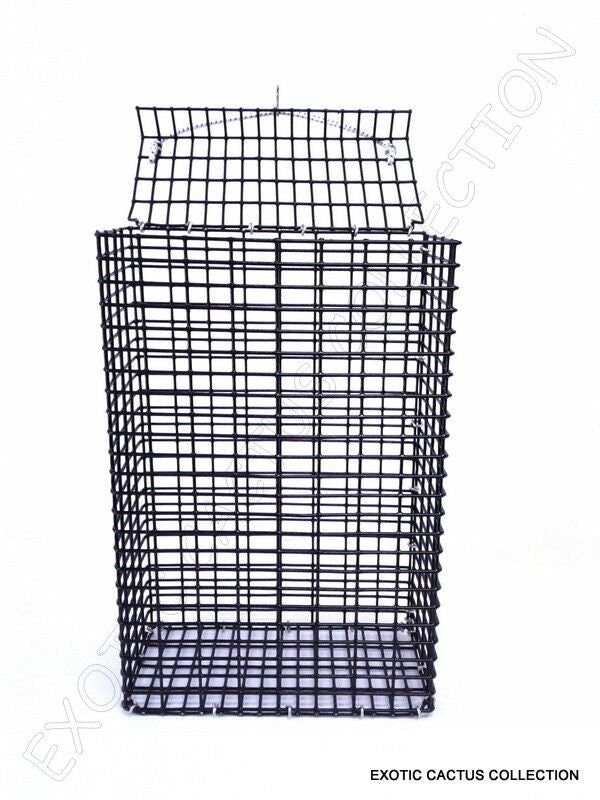 chum box fishing CHUM BOX marine grade pvc coating black wire mesh pot fishing bait cag – Exotic-Cactus-collection
