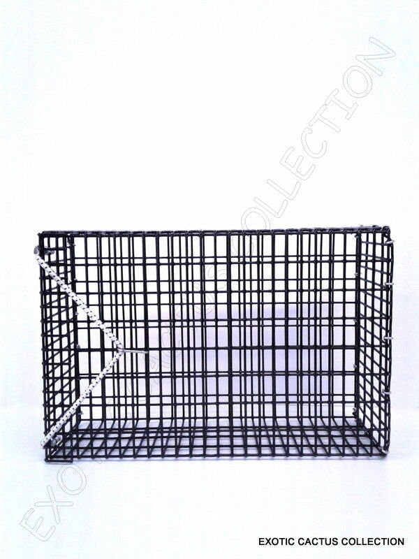 chum box fishing CHUM BOX marine grade pvc coating black wire mesh pot fishing bait cag – Exotic-Cactus-collection